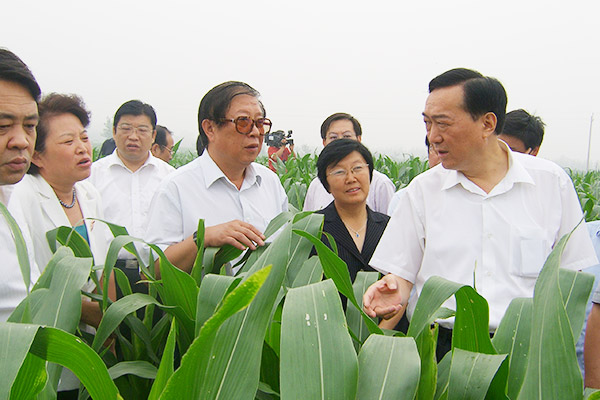 2007年7月25日时任河南省委副书记陈全国在省、市、县领导陪同下莅临滑丰种业科技示范园查看玉米新品种长势情况